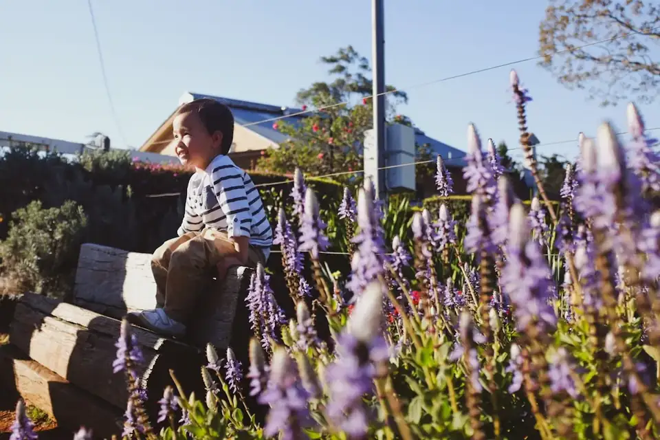 A child in a lavender garden